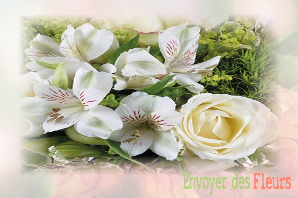 envoyer des fleurs à à SAINT-MARTIN-DES-BOIS